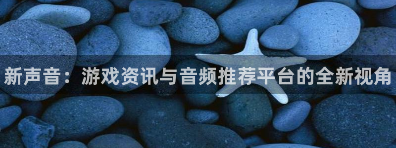 极悦娱乐4主管：新声音：游戏资讯与音频推荐平台的全新视角