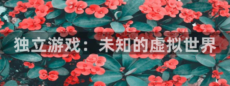 极悦娱乐官方平台：独立游戏：未知的虚拟世界