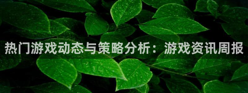 极悦娱乐官方注册登录：热门游戏动态与策略分析：游戏资讯周报