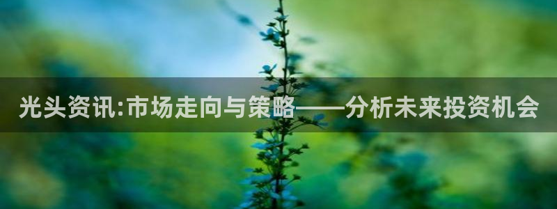 极悦娱乐科技：光头资讯:市场走向与策略——分析未来投资机会
