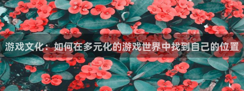 极悦娱乐注册登录平台：游戏文化：如何在多元化的游戏世界中找到