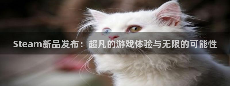极悦娱乐网页登录入口：Steam新品发布：超凡的游戏体验与无