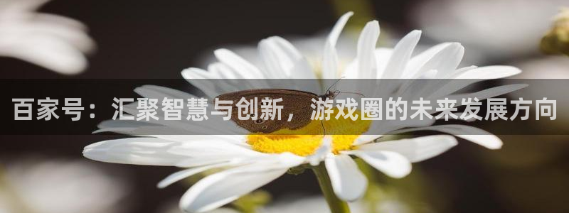极悦娱乐升级5994月：百家号：汇聚智慧与创新，游戏圈的未来