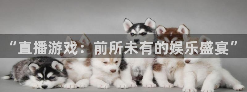 手机版极悦娱乐客户端下载：“直播游戏：前所未有的娱乐盛宴”