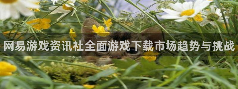 极悦娱乐线路测试：网易游戏资讯社全面游戏下载市场趋势与挑战