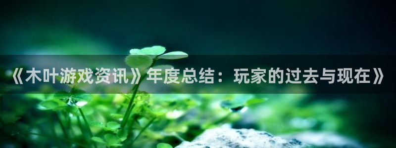 极悦娱乐平台登录：《木叶游戏资讯》年度总结：玩家的过去与现在