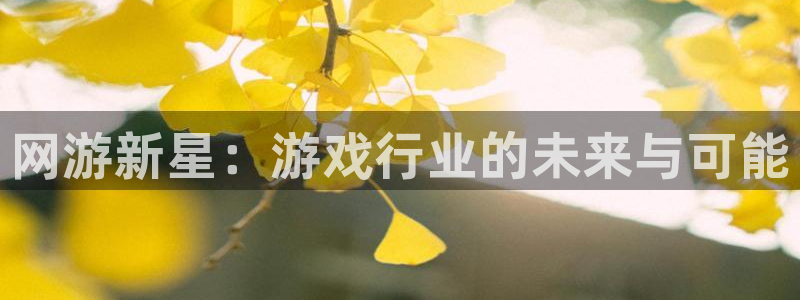 极悦娱乐平台注册开户：网游新星：游戏行业的未来与可能