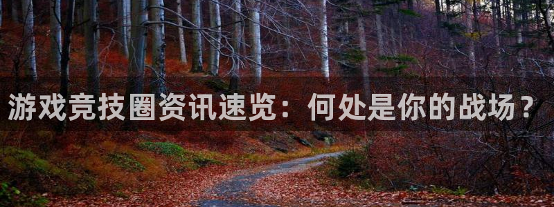 极悦娱乐登陆：游戏竞技圈资讯速览：何处是你的战场？