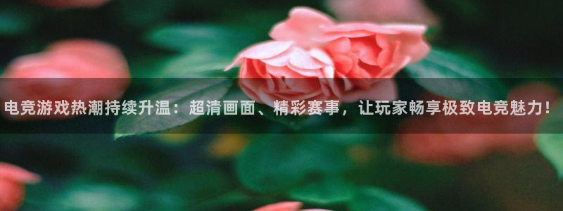 极悦娱乐代理登陆