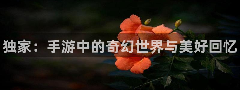 极悦娱乐平台官网客服电话