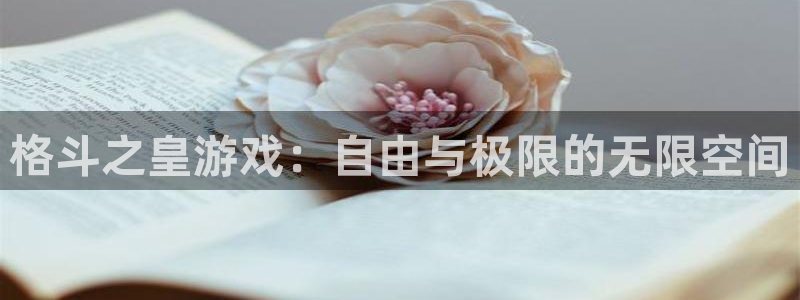 极悦娱乐平台官网入口：格斗之皇游戏：自由与极限的无限空间