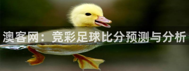 jrkan2023直播体育网：澳客网：竞彩足球比分预测与分析
