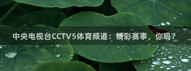 jrkan直播免费高清体育直播nba：中央电视台CCTV5体育频道：精彩赛事，你吗？